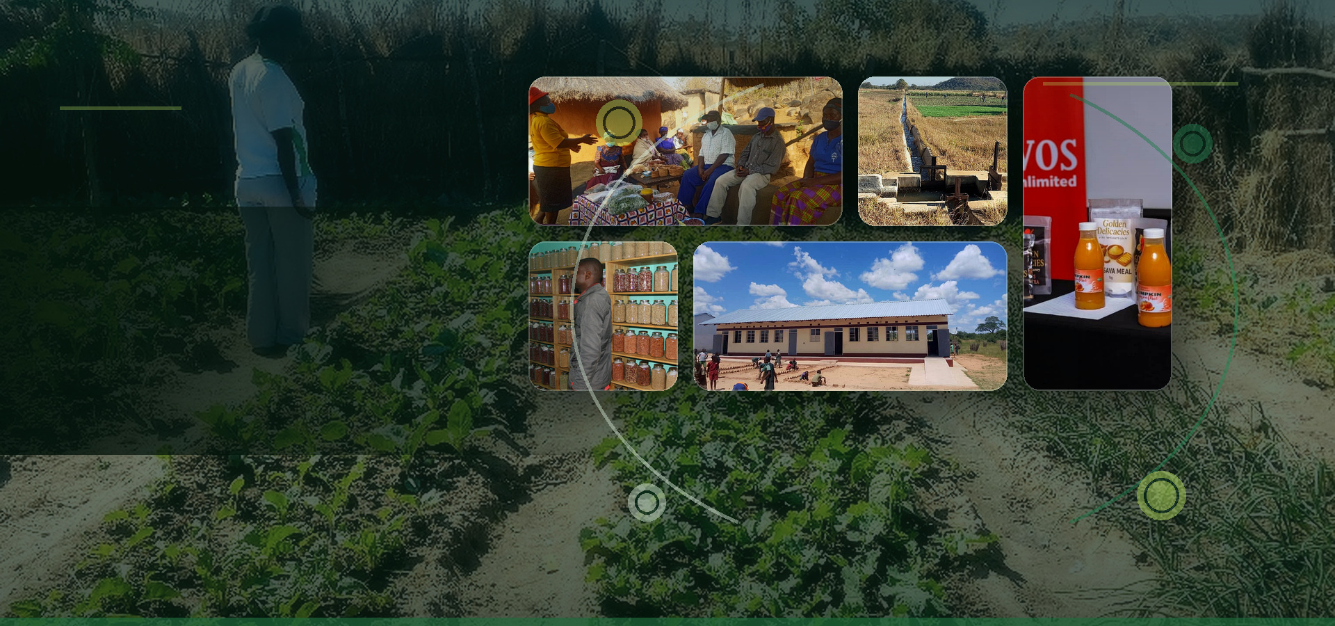 Gallery mosaic of fieldwork, project and community evidence images