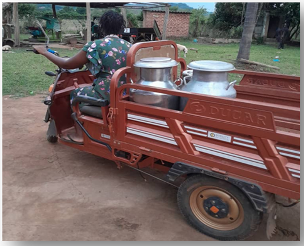 Motorised cart transporting dairy containers