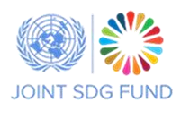 Joint SDG Fund
