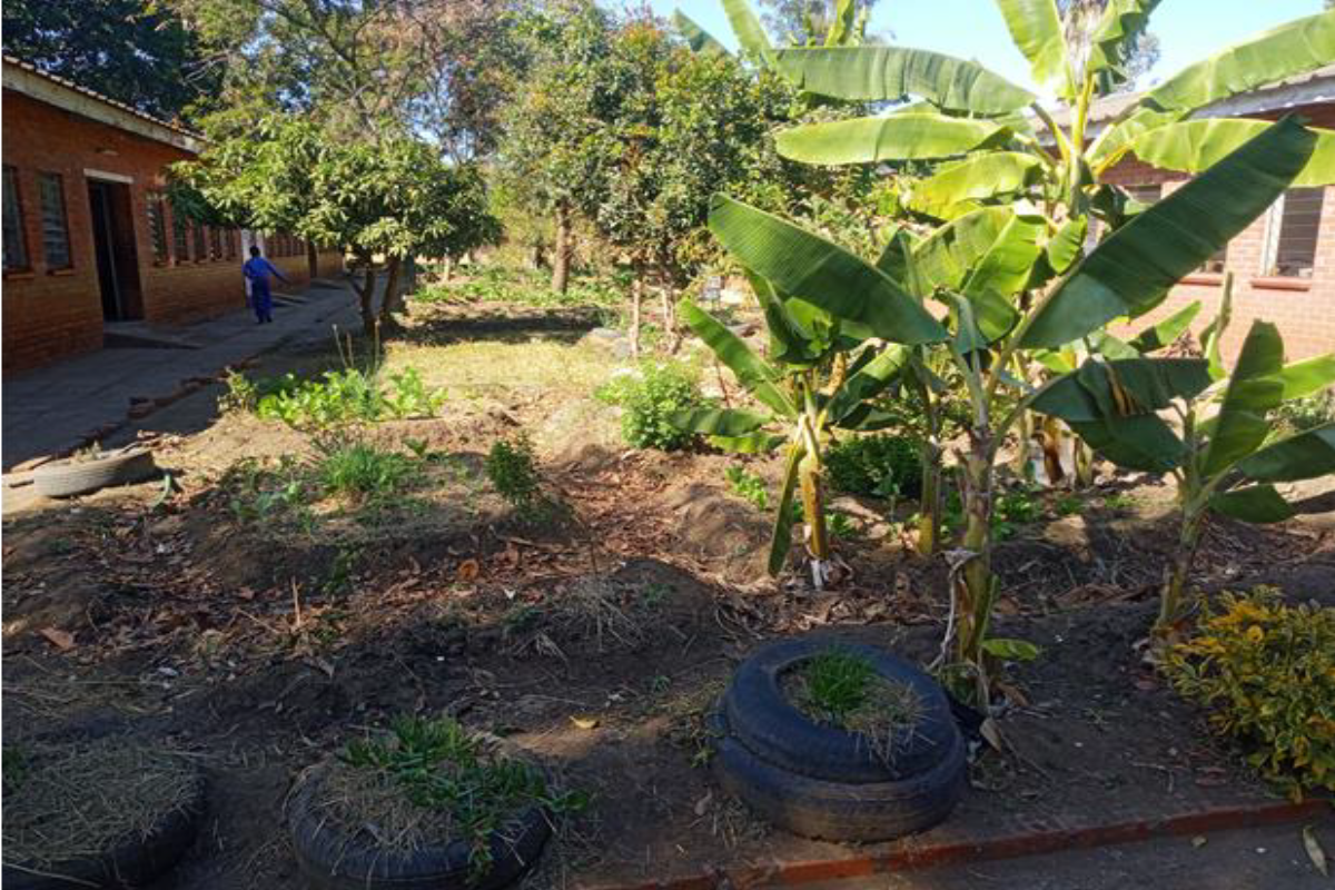 School nutrition garden and agroecology demonstration site