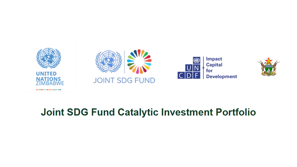 Joint SDG Fund Catalytic Investment Portfolio partner logos