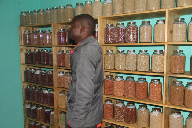 Agroecology seed collection displayed on shelves